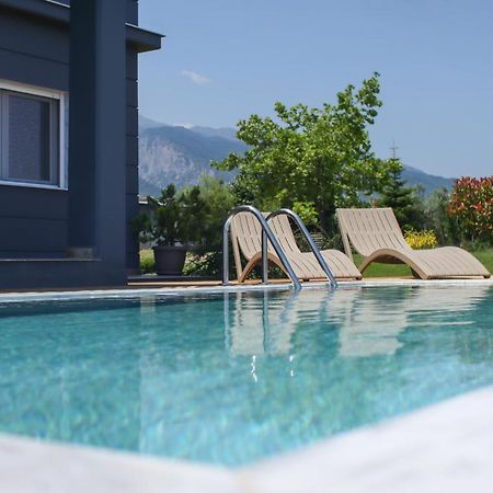 Zeusplace Pool Villa Olympus Riviera Літохоро Екстер'єр фото